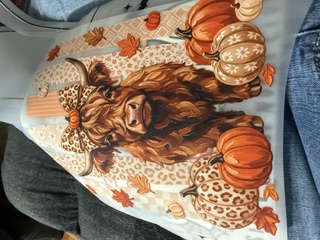 Highland cow and pumpkins DTF print